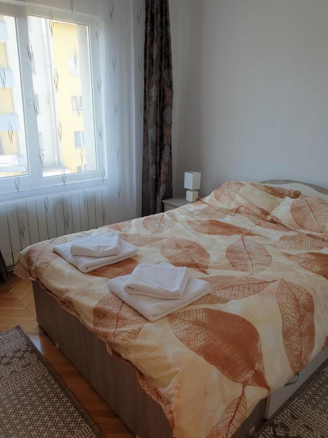 Pdn Apartment Sighișoara Zewnętrze zdjęcie